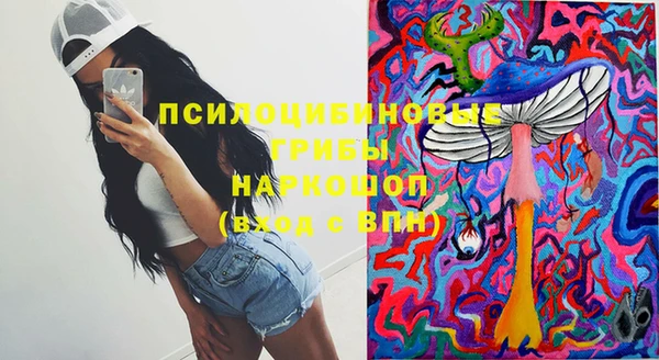 стафф Абдулино