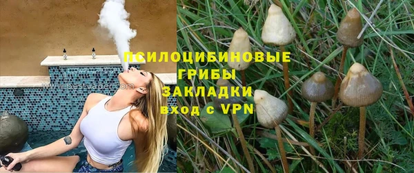 стафф Абдулино