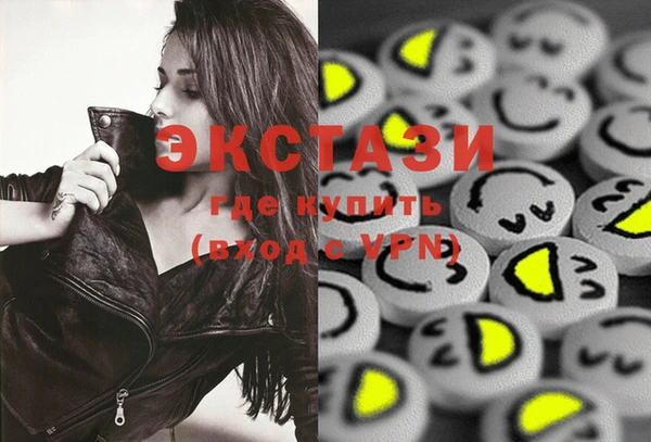 стаф Алексин