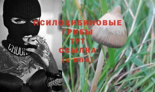стафф Абдулино