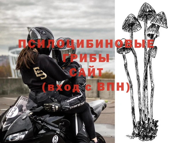 дурь Абинск