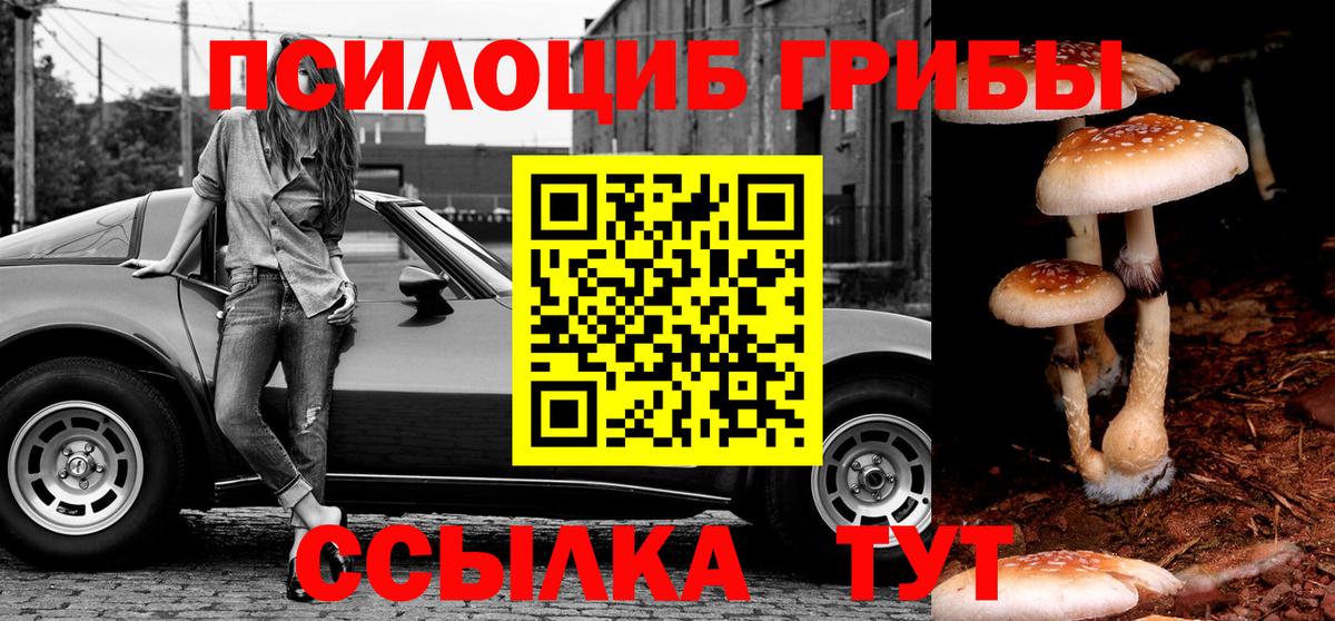 Галлюциногенные грибы GOLDEN TEACHER Саранск
